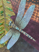 close-up of dragonfly
