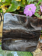 Trivet 6