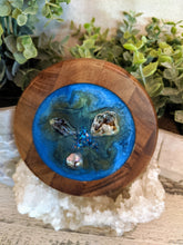 Coasters #51- Round Acacia Wood w/ holder - Epoxy set of 6